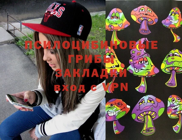 ГАЛЛЮЦИНОГЕННЫЕ ГРИБЫ Осинники