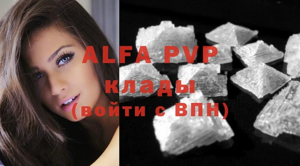 ГАЛЛЮЦИНОГЕННЫЕ ГРИБЫ Осинники