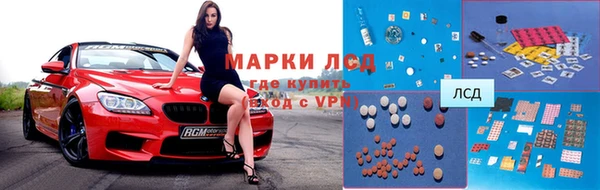 ГАЛЛЮЦИНОГЕННЫЕ ГРИБЫ Осинники