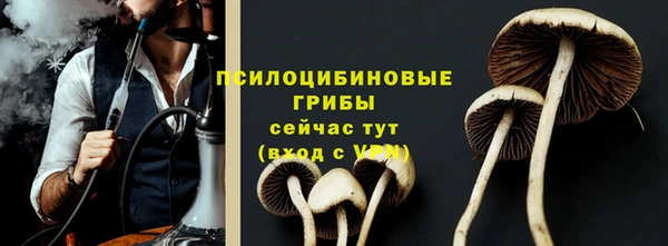 ГАЛЛЮЦИНОГЕННЫЕ ГРИБЫ Осинники