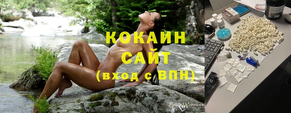 ГАЛЛЮЦИНОГЕННЫЕ ГРИБЫ Осинники