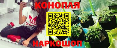стаф Донецк