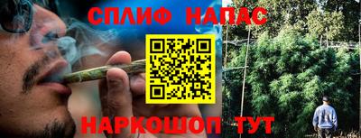 стаф Донецк