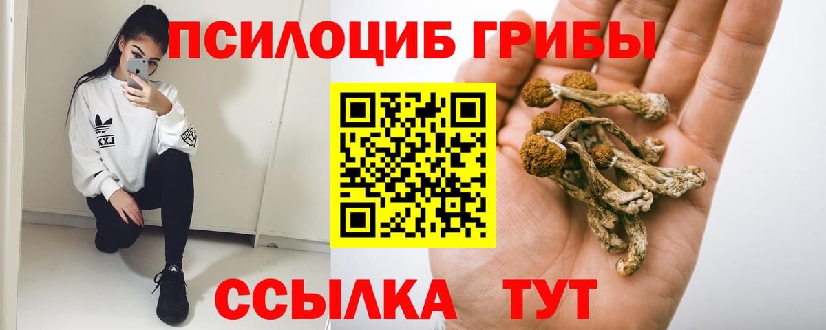 Псилоцибиновые грибы MAGIC MUSHROOMS Лабытнанги